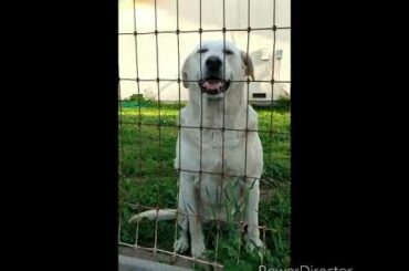 Funny bunny videos🐇