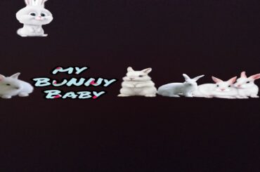 Playing With Bunny Baby