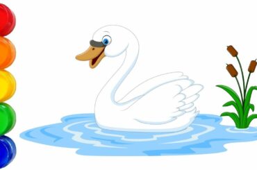 Learn Coloring With Cute Swan Drawing & Coloring|Swan Coloring|Kids Video|Rhymes