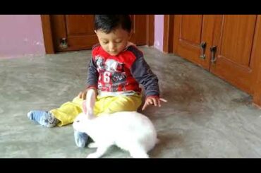 Baby fun with Rabbit
