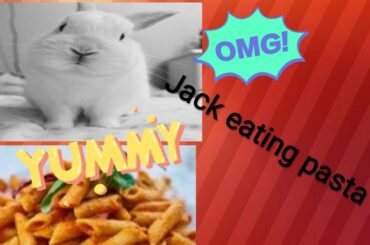 Day: 8 # Jack and Jill eating yummy pasta// cute rabbits