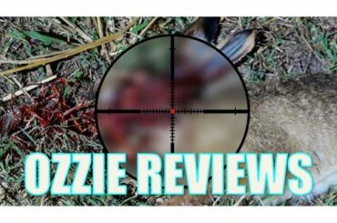 Super Slow Motion Shooting Rabbit / Hare using 22WMR 22Mag (1000 frames per second)