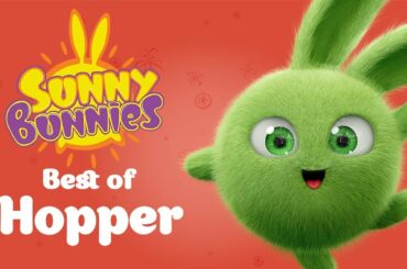 SUNNY BUNNIES - Hopper's Top 10 Mischievous Moments | Cartoons for Children