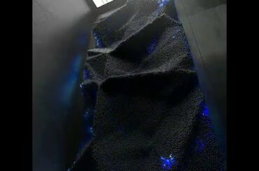 I Found the Baby Rabbit and a Whale || Best compilation of the day|| trending Videos||