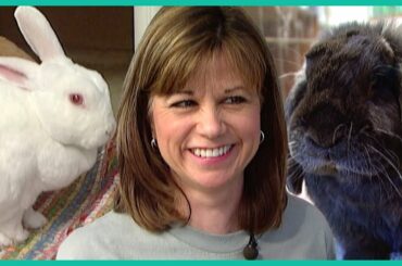 Woman Rescues Abandoned Bunnies