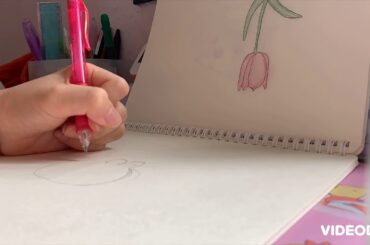 My draw so cute bunny