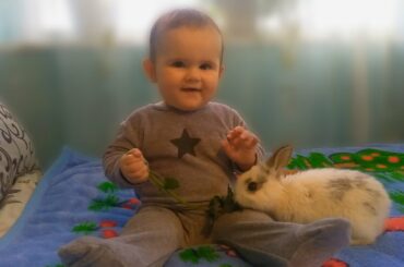 Cute Baby is Feeding a Little Rabbit!
