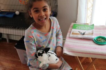 How I take Care of My Pet Rabbit: Routine and Care