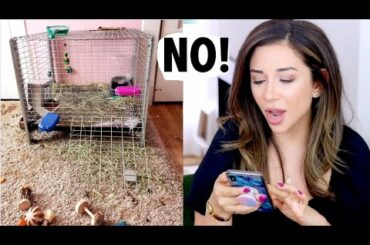 REACTING TO OUR SUBSCRIBERS RABBIT HABITATS! | PT. 2