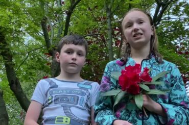 Fluffy Baby Bunny Funeral