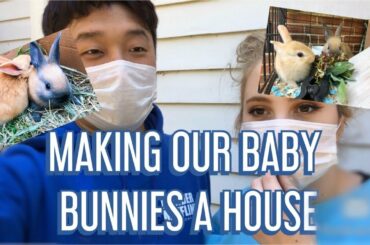 [국제커플] WE GOT BUNNIES!! 🐰 & WE BUILT THEM A HOUSE
