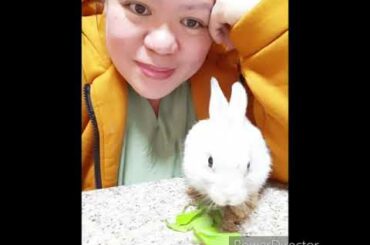 My Adorable 🐇Rabbit🐇 #nangamotengenglish...ni kim😁 hahaha...😆😄🐇