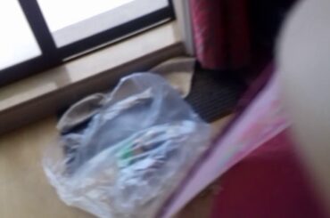 cute baby rabbit 🐰🐰🐰💸🐰🐰🐰😨😨❤❤❤