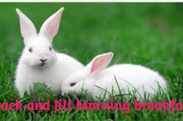 Jack and Jill Morning breakfast//Cute rabbits