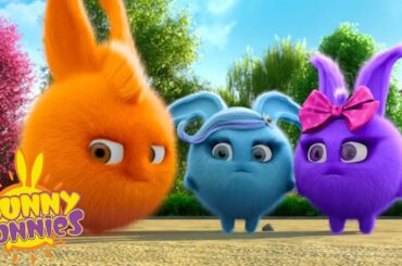 SUNNY BUNNIES - Which Ride? | Season 1 | Cartoons for Children