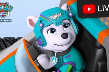 🔴PAW Patrol Kids Cartoons Rescue Episode Marathon 24/7 LIVE!