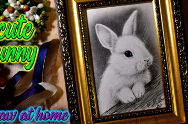 Drawing and shading a cute realistic rabbit with graphite pencils