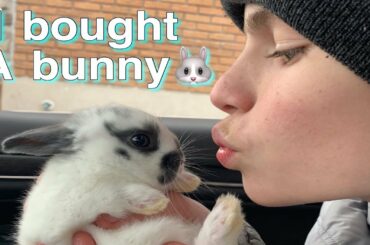 I bought a BUNNY!!