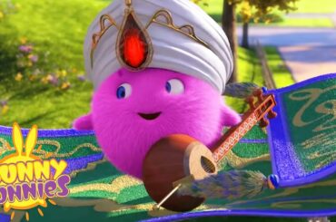 Magical Flying Carpet | Sunny Bunnies NEW Episode | Funny Cartoons for Kids | HooplaKidz Toons