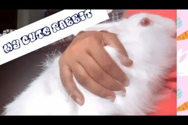 My cute and clever Rabbit has stolen a Potato (Her name is 'Happy' 😀)