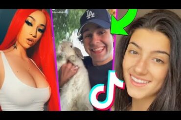THAT is bhad bhabie?? david dobrik cute bunny 😍😫 MOST VIEWED TIK TOKS