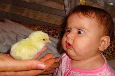 #Cute baby girl,#Cute baby status, #Cute baby song, #Cute baby ka photo,#cute baby dance