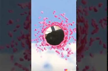 This is my pet baby bunny🐰🐰🐰🐰🐰