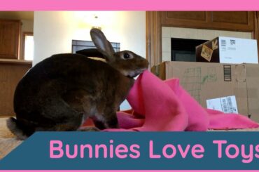 Bunnies Love Toys! Cute Rabbits Like to Play!
