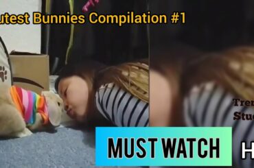 Cutest Bunnies Compilation #1 💝💖  Must Watch