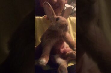 Meet Bimbo (Drip Warning 🤑🥶🥵)