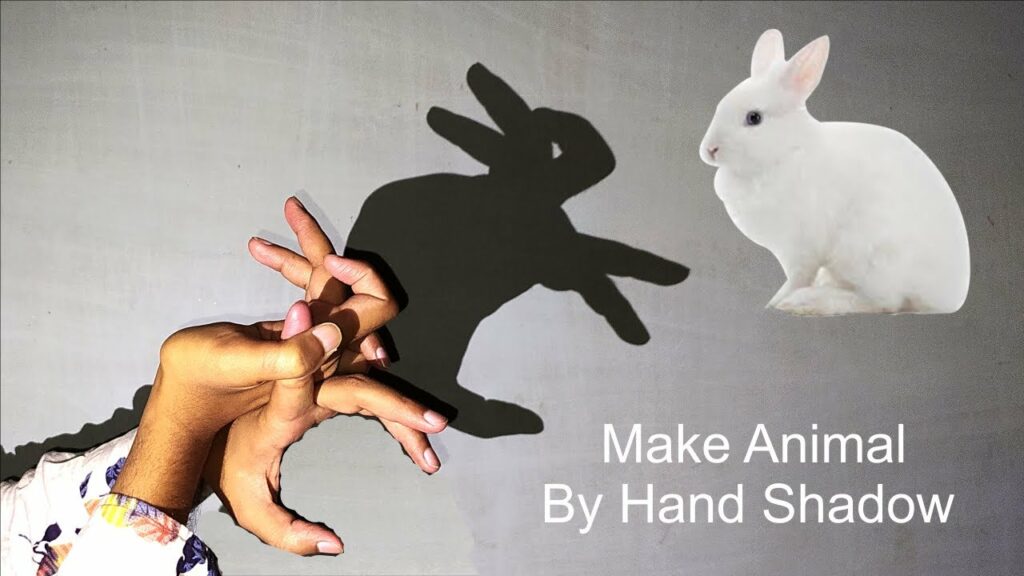 How to Make a Rabbit with Your Hand Shadow Rabbit Videos
