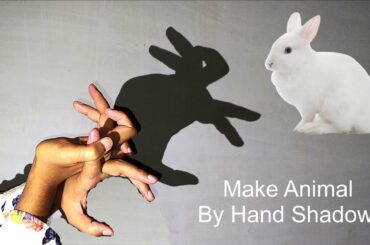 How to Make a Rabbit with Your Hand Shadow