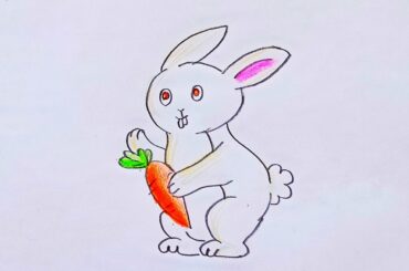 How to draw a rabbit - how to draw a rabbit with colour pencils 2020 (NEW!)