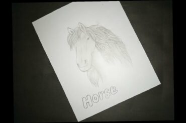 How to draw horse easy | How to draw head of horse step by step | Pencil drawing and shading.