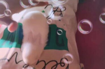 Cute little rabbit.🐰🐇