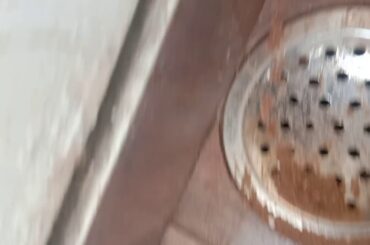 Rabbit challenge by rabbit my cutest rabbit