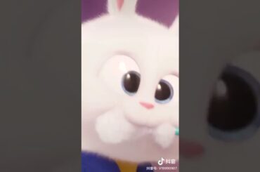 Cute bunny tiktok-  secret life of pets 1