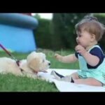 🔴 CUTE PUPPIES AND BABIES PLAYING TOGETHER COMPILATION 2020