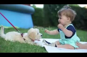 🔴 CUTE PUPPIES AND BABIES PLAYING TOGETHER COMPILATION 2020