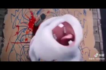 Cute snowball//voice from our cute little bunny win