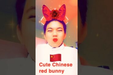Snapchat Chinese dub: cute red rose bunny