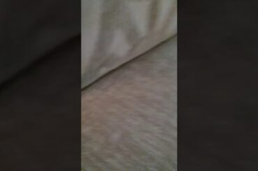 Cute bunny and half Nintendo