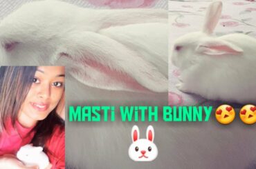 Funny and Cute Baby Bunny- Rabbit Videoes | Baby Animal Video Compilation 🐰🐰