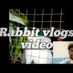 Rabbit vlogs video assam rabbit house 2020 rabbit baby Meghalaya