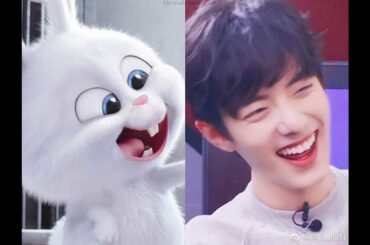 Xiao Zhan cute bunny
