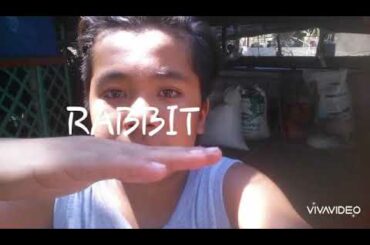 RABBIT!!!(CUTE NG ISANG BABY) |