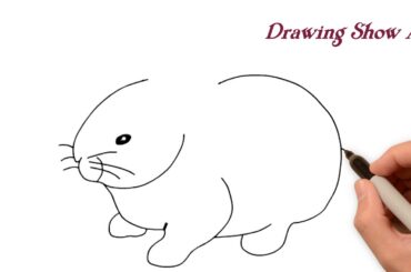 How to draw rabbit easy step by step