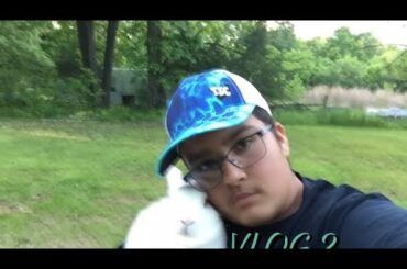 Vlog 2 cute rabbits
