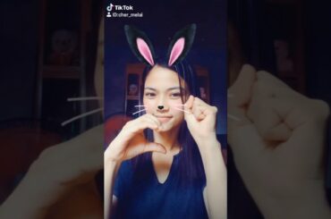 Cute bunny