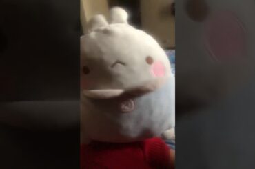 Cute rabbit Dance his name is Vanila🐰